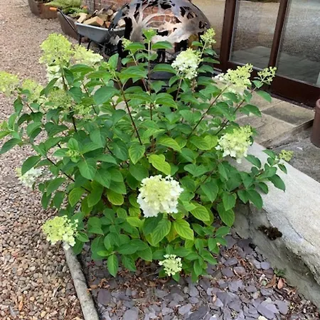 Bed & Breakfast Brickfields Farm