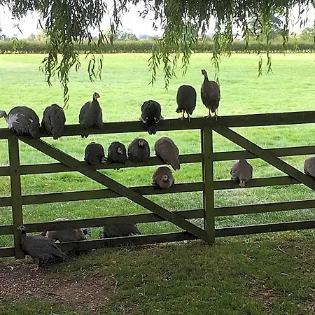 Brickfields Farm 4*