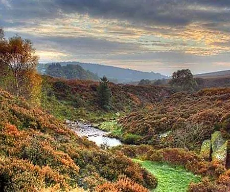 Brickfields Farm