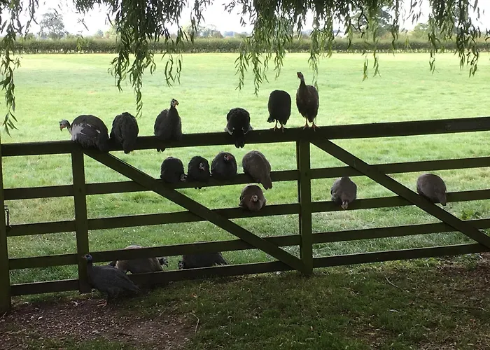 Brickfields Farm Bed & Breakfast Kirkbymoorside