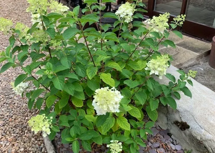 Brickfields Farm Bed & Breakfast 4*