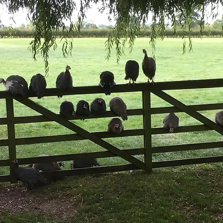 Brickfields Farm Couette-café Kirkbymoorside